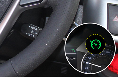 Cruise Control System Accessories